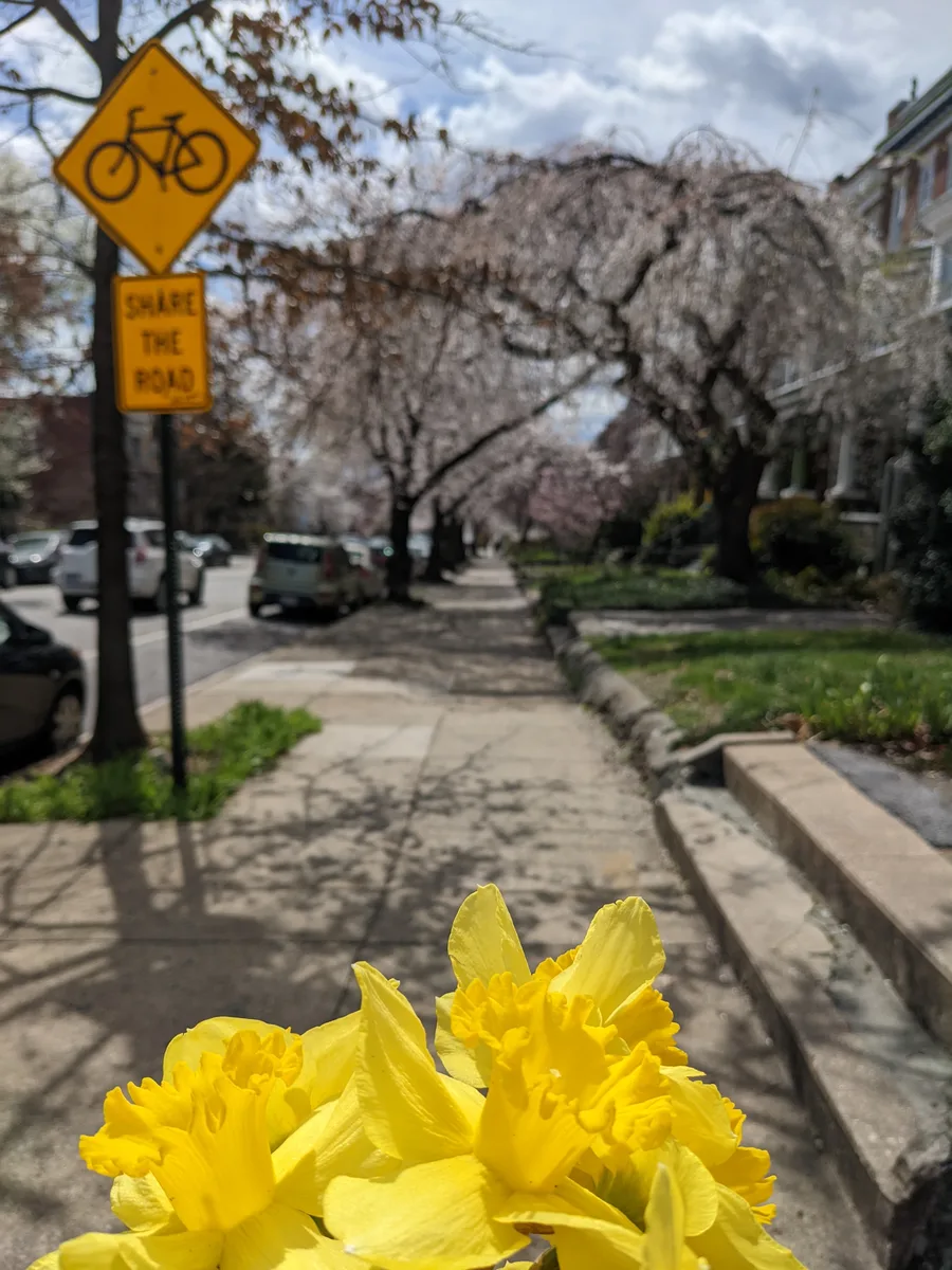 Spring